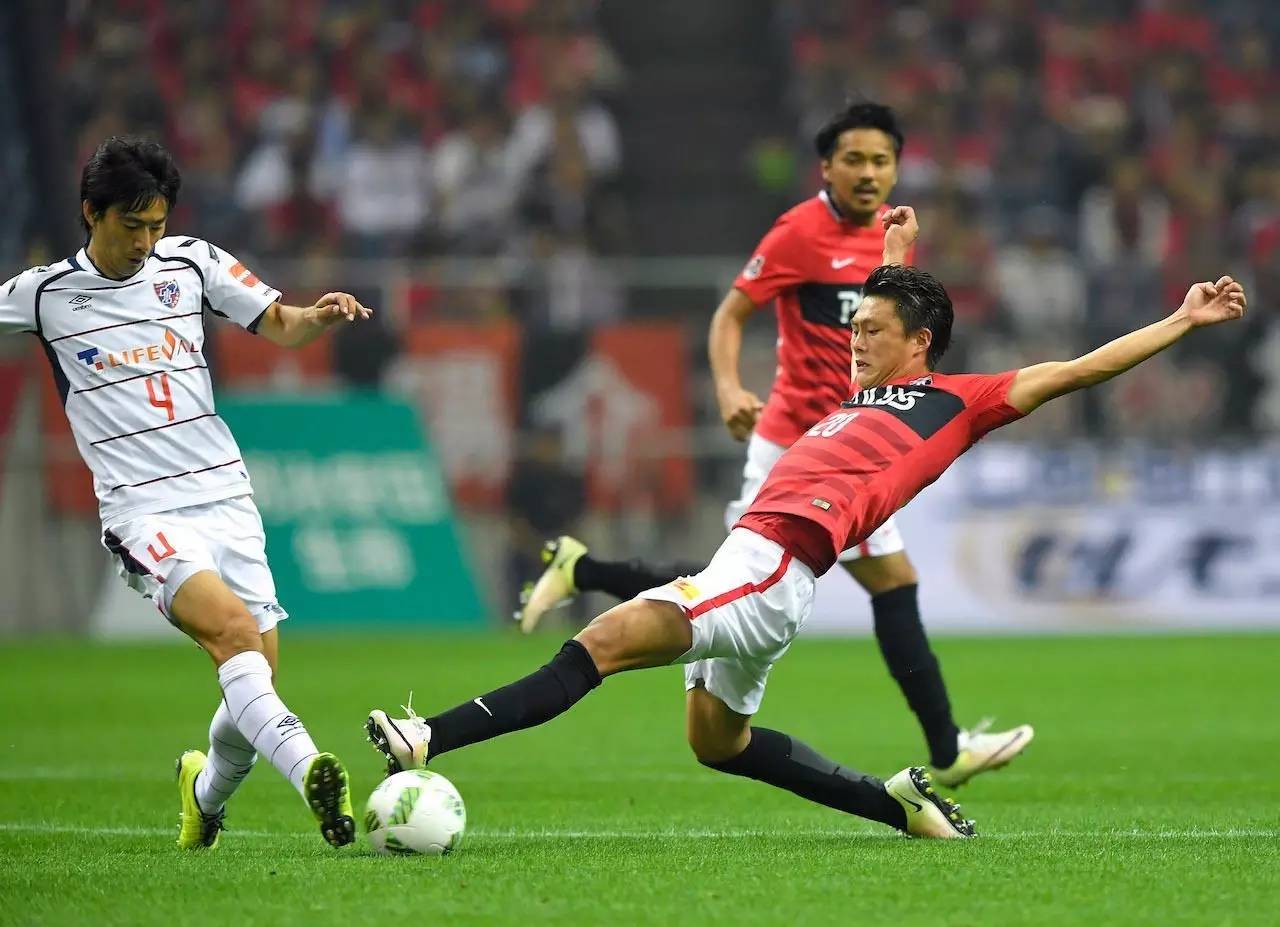 欧洲杯直播哪里看不卡,欧洲杯看直播