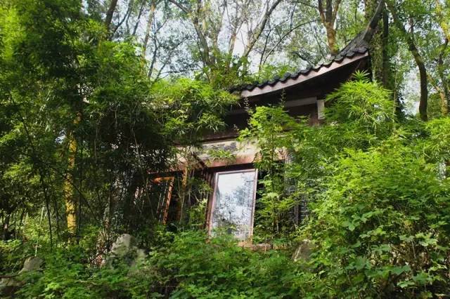 重庆喝茶打麻将的地方都有哪些,重庆喝茶的茶馆