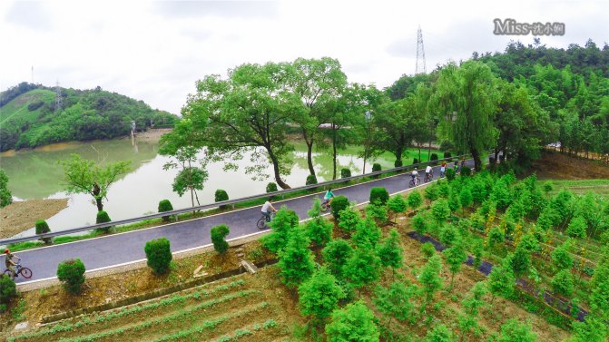 在这座神山中，我们每个人都是武林高手