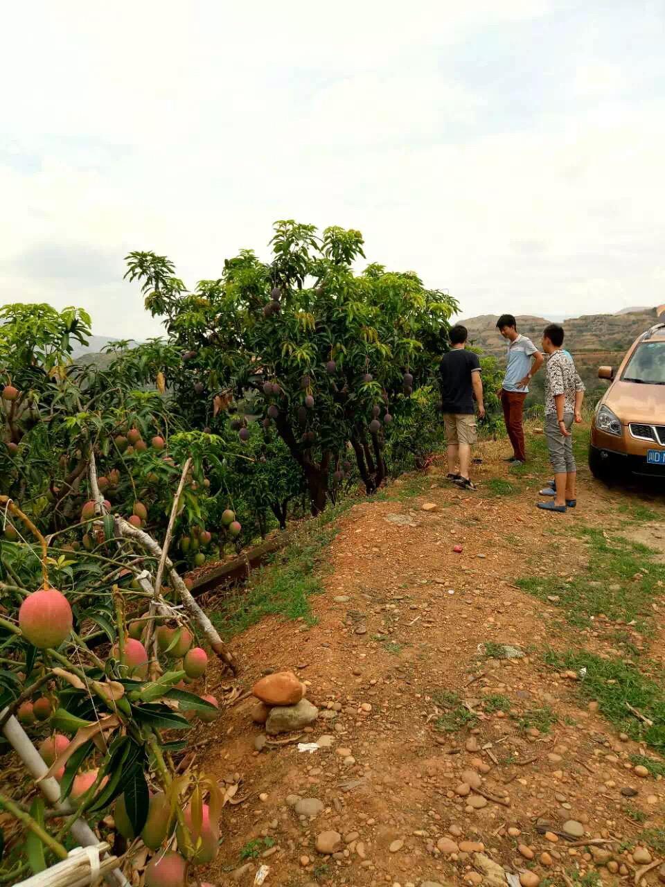 攀枝花料理,攀枝花最好吃的料理