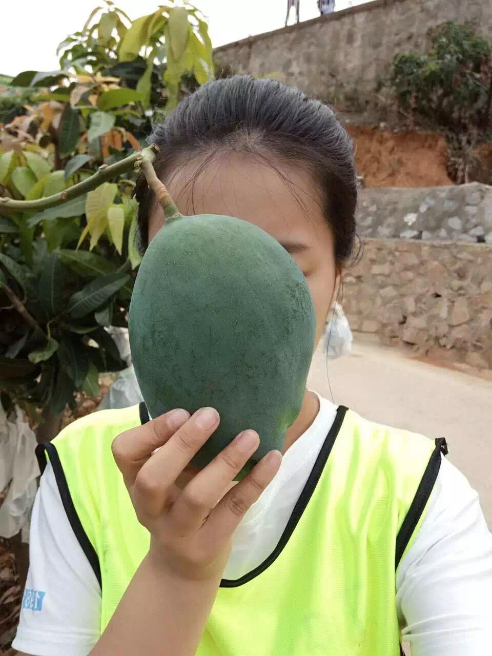 攀枝花最好吃的料理,攀枝花料理