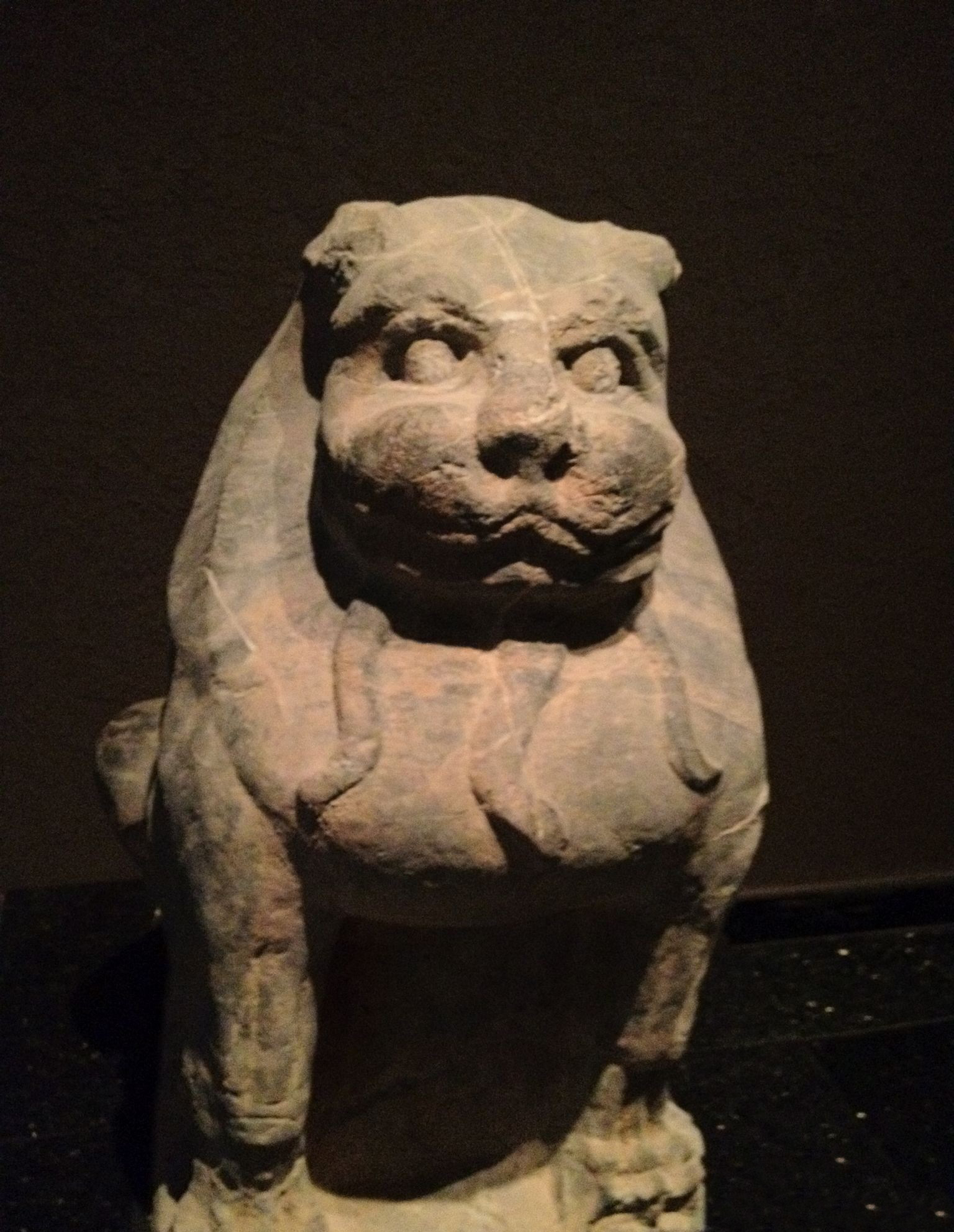 千年萌物大集结，到底谁才是真正的“*物文**萌主”！