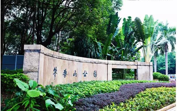 深圳及周边最值得爬的山,深圳有什么值得爬的山