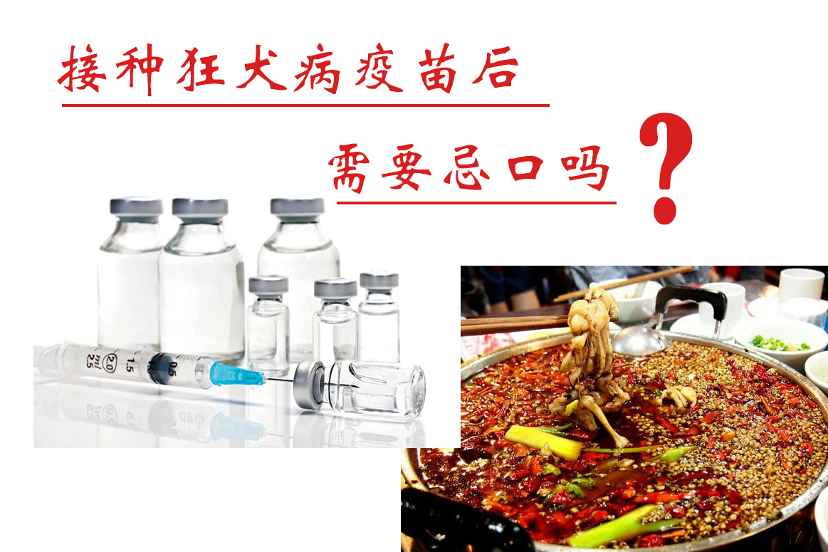 接种了狂犬病疫苗需要忌口吗,儿童接种疫苗后哪些要忌口
