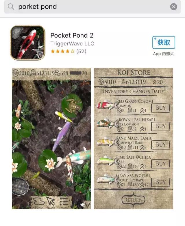 关于猫咪的9个app,喵星人铲屎官必备