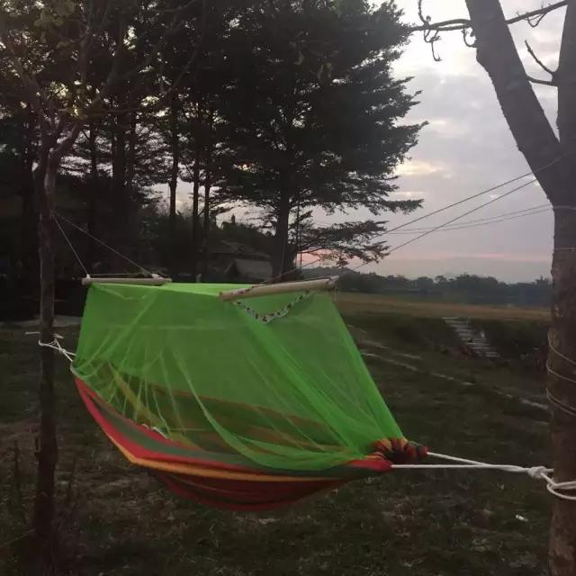 终于考完放假啦~炎炎夏日到紫溪半岛避暑玩水去~