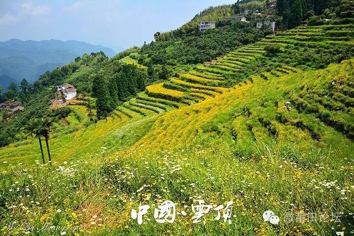 在涵江区附近,被称“福建的香格里拉”,没有几个莆田人知道