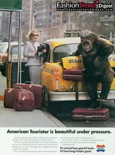 拉什么行李箱就知道你是哪个level的职场人？