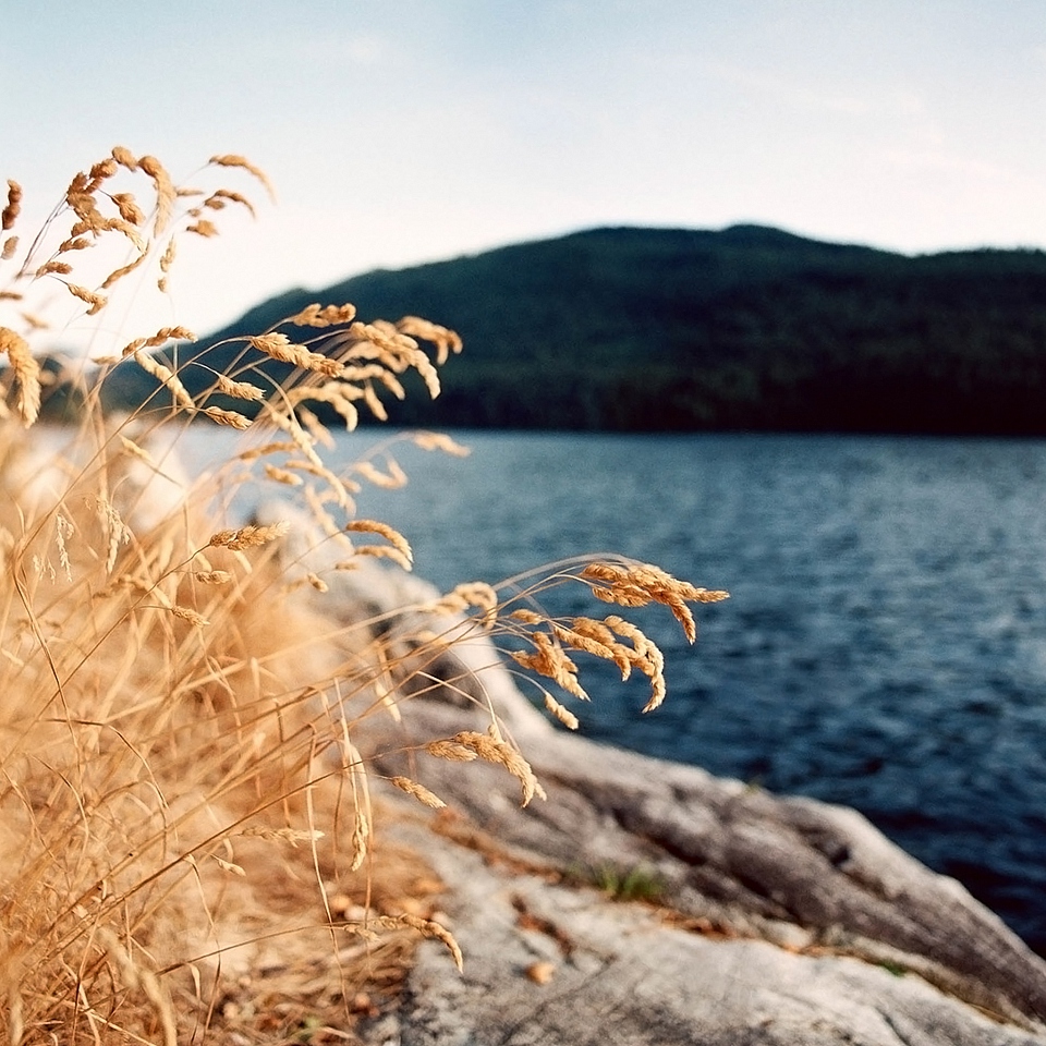 一天一个小故事,每天一个睡前小故事