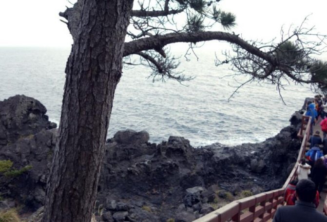 去济州岛旅游可以租车吗,济州岛租车需要什么手续