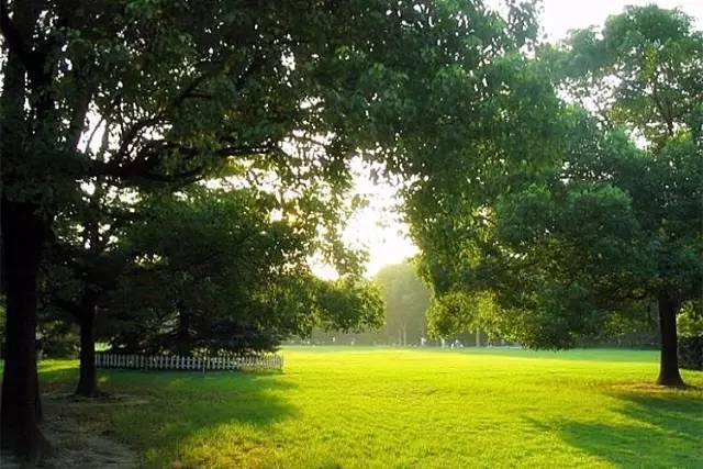 上海中山公园游玩需多少时间,上海中山公园现在去免费吗