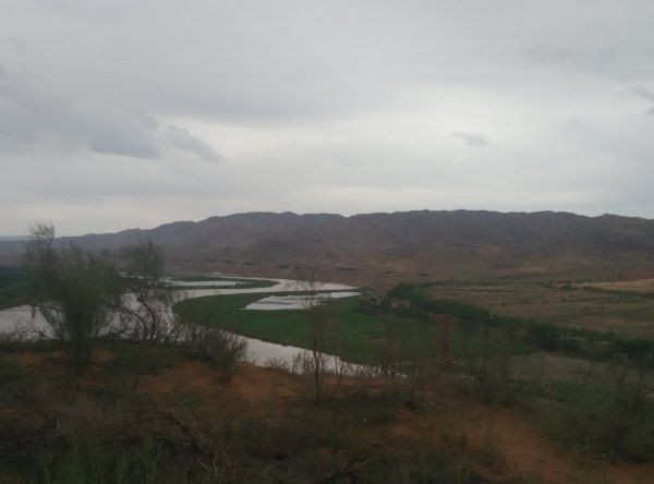 爸爸去哪儿旅游打卡,爸爸去哪儿宁夏中卫沙坡头