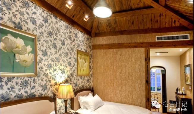 没去青岛也能看到海鸥,没去青岛的人对这个城市的印象