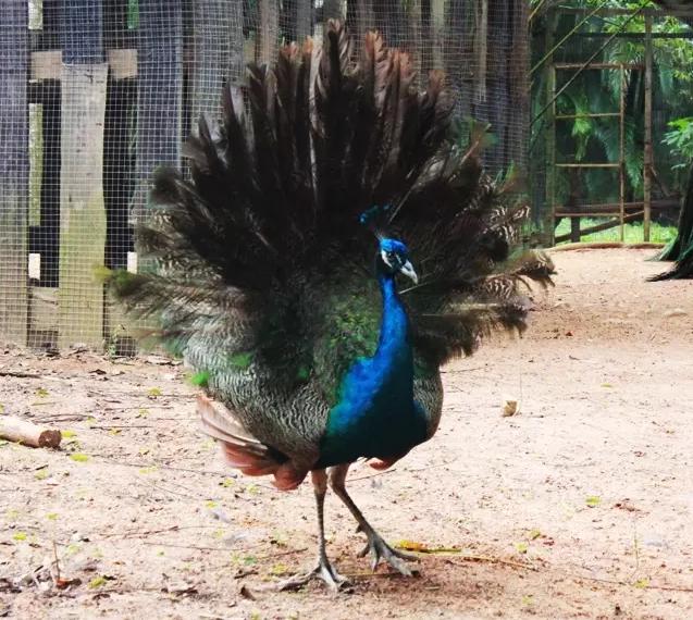 被遗忘的海南,海南被遗忘的浪漫之地