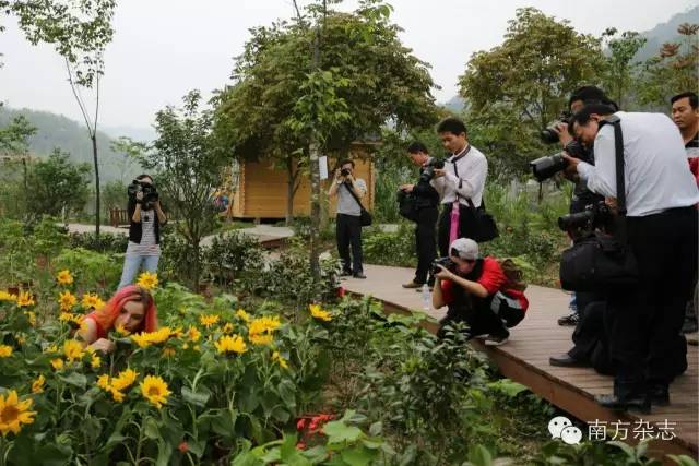 丰顺和大埔,大埔丰顺篮球比赛