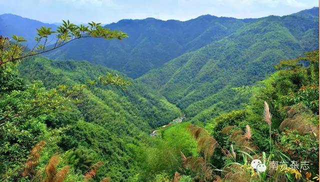 丰顺和大埔,大埔丰顺篮球比赛