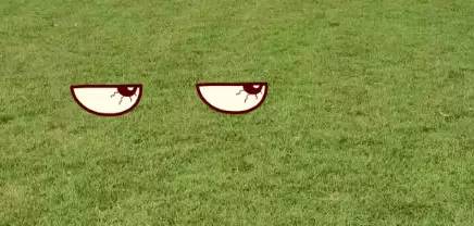 贝克汉姆来吧冠军,贝克汉姆来了什么意思