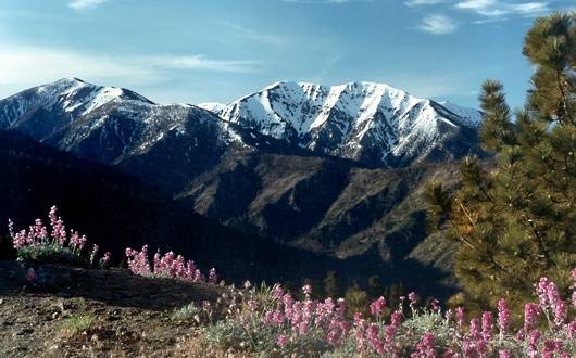 带你360度无死角品味天使之城——留学*党**在洛杉矶