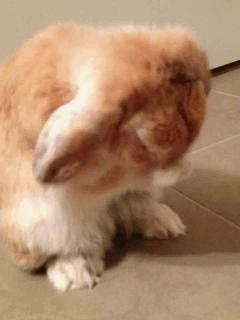 韩国雪花秀顺行泡沫洗面奶50ml,韩国最好用的清洁洗面奶