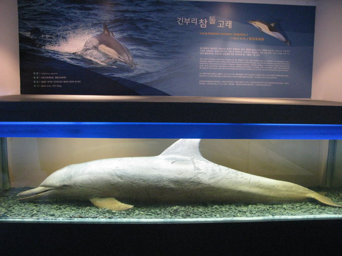 济州岛4日跟团游价格,济州岛4日游价格