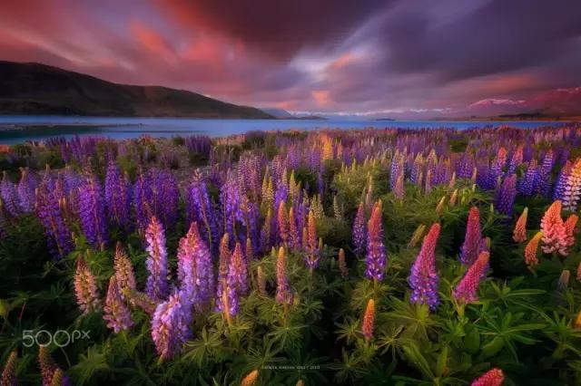 世界自然美景旅游景点,世界自然风景排名