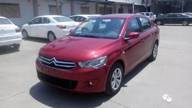 长测爱丽舍：如果再给一次机会，我们还会把小爱带回家吗？