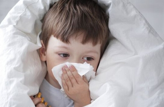 夏季常见病预防与急救,夏季常见病预防