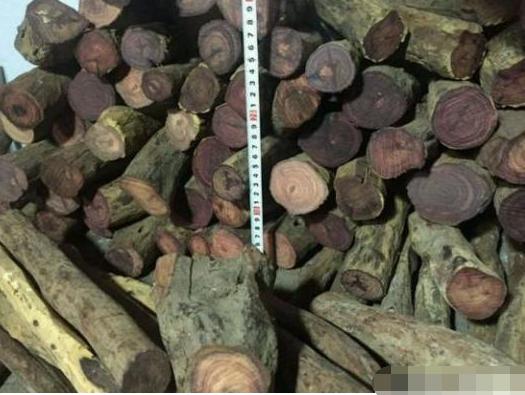 被奸商坑惨了,100万买的海黄料,切开后才知道是紫檀柳假冒的