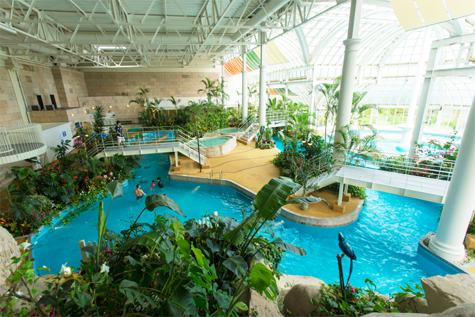 蜜月去欧洲,蜜月去厦门还是去云南