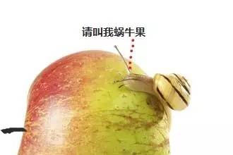 怎么查看appleid,appleid被盗怎么解决
