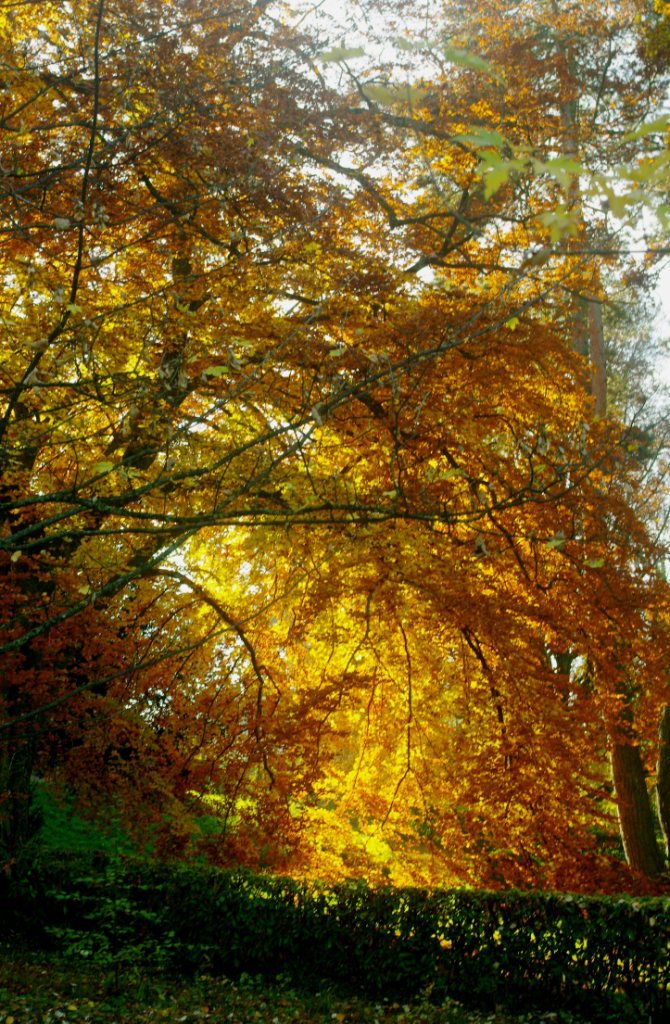瑞士日内瓦一日游,瑞士日内瓦到苏黎世旅游攻略