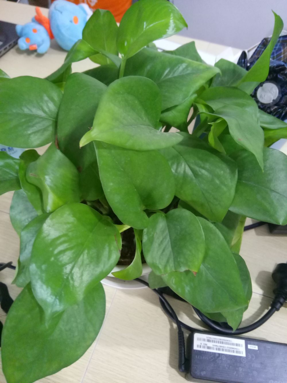 <html>
<head><title>502BadGateway</title></head>
<body>
<center><h1>502BadGateway</h1></center>
<hr><center>nginx</center>
</body>
</html>
<!--apaddingtodisableMSIEandChromefriendlyerrorpage-->
<!--apaddingtodisableMSIEandChromefriendlyerrorpage-->
<!--apaddingtodisableMSIEandChromefriendlyerrorpage-->
<!--apaddingtodisableMSIEandChromefriendlyerrorpage-->
<!--apaddingtodisableMSIEandChromefriendlyerrorpage-->
<!--apaddingtodisableMSIEandChromefriendlyerrorpage-->
