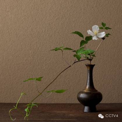 看我无情对,让你没话说