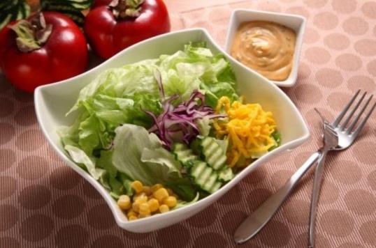 哥本哈根减肥食谱app,哥本哈根减肥食谱全部