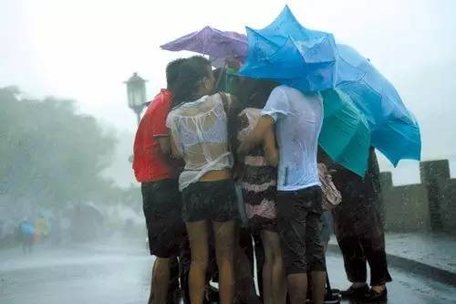 台风车辆注意事项和安全防护,台风天行车攻略