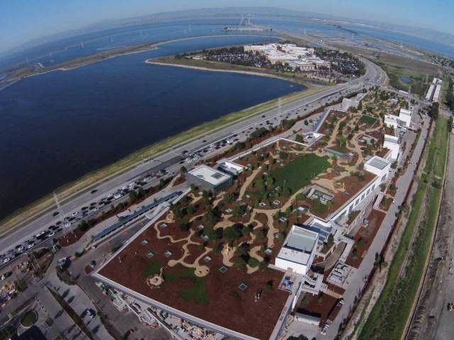 亚马逊植物图片,亚马逊新图像