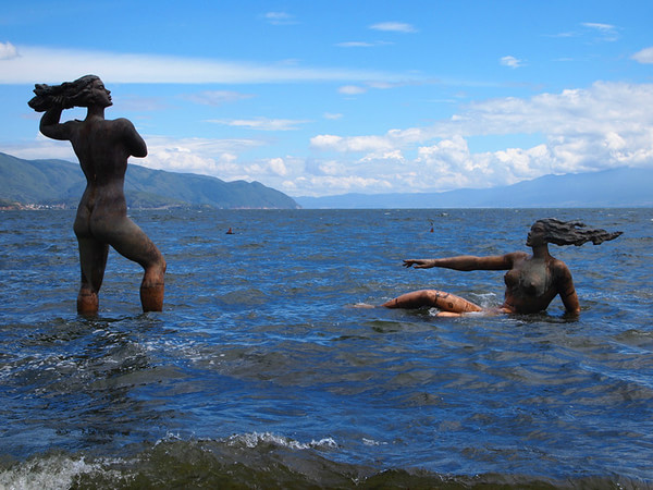 原来你们想约我去云南是因为酱紫
