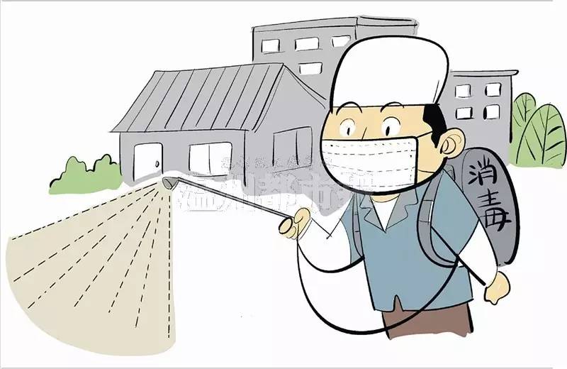 救助流浪猫狗视频,上海流浪猫狗救助中心