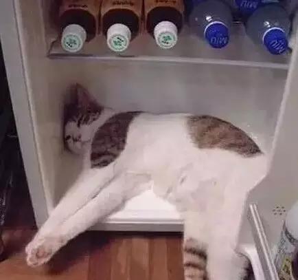 重庆改名字有望吗,重庆有望改名吗