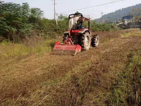 只有门脸没有货，人家这超市凭啥还这么火？