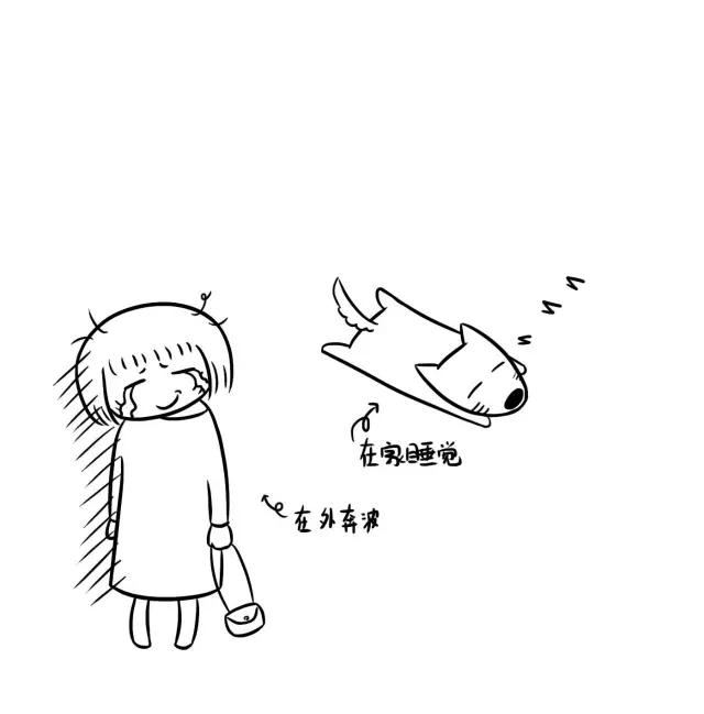 怎么训练狗狗独自在家,狗狗独自在家会哭怎么办