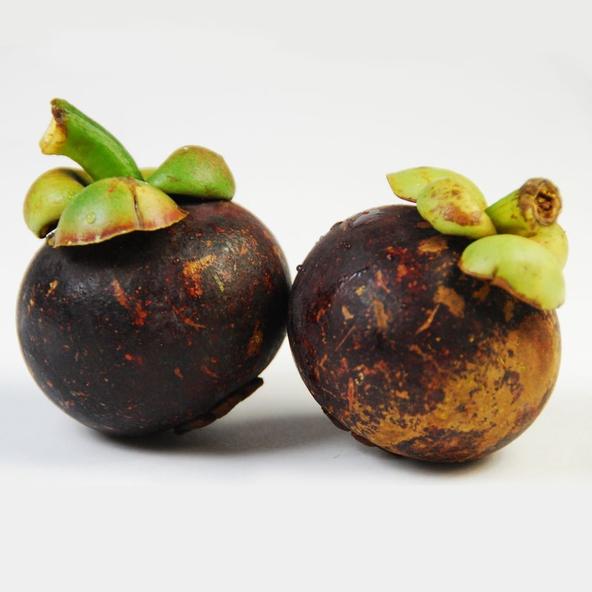 那些年吃过的山竹,山竹怎样选母的