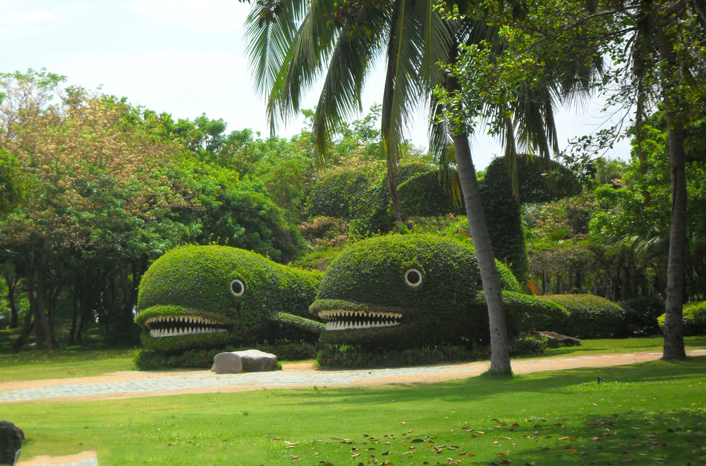 园艺专业就业前景,园艺专业就业前景分析张雪峰