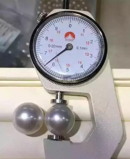 澳白珍珠对比南洋金珠,带你看珍珠直播间