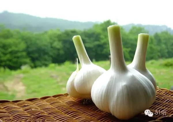 女人每天坚持吃大蒜会有什么好处,生吃大蒜对身体有什么好处和坏处