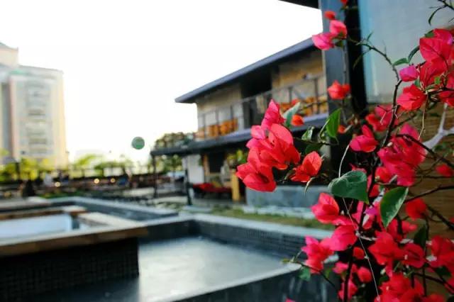 鎯犲煄闅愯棌灏忓簵,鎯犳潵鎯犲煄瀹濊棌灏忓簵