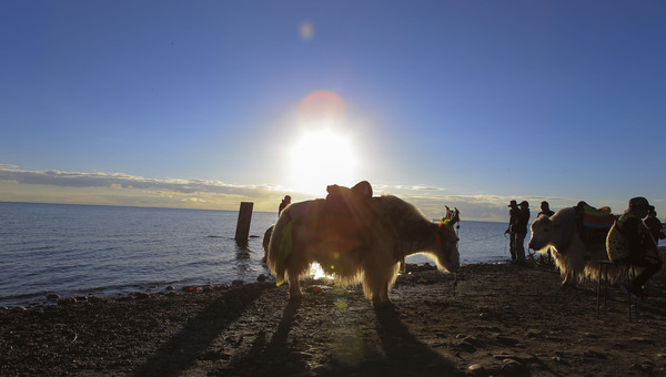 青海小环线黑马河看日出最佳地点,青海湖断崖看日出攻略
