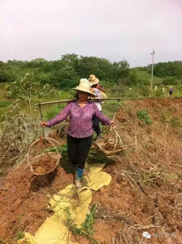 巾帼不让须眉英姿飒爽花木兰,巾帼不让须眉的女英雄花木兰