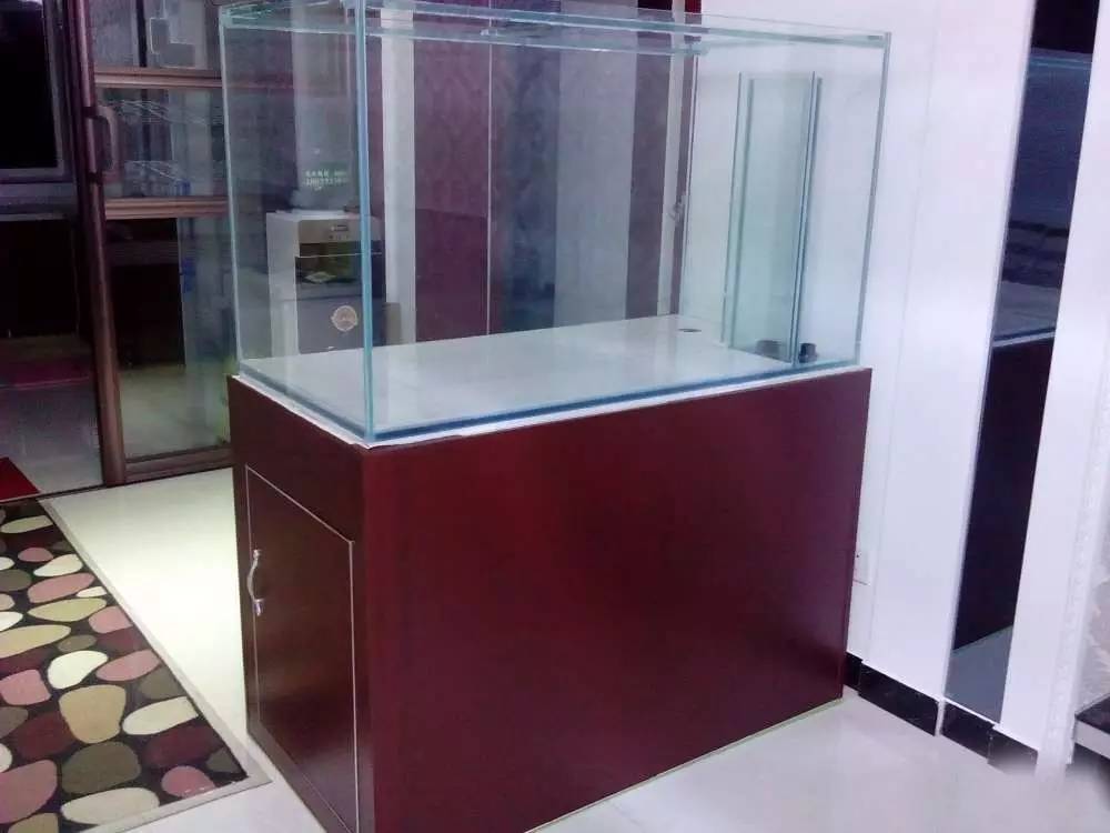 没养鱼有油膜,没养鱼只是在岸上走