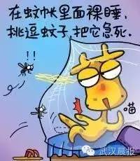 总有蚊子飞进屋?可能是纱门纱窗用错了哦